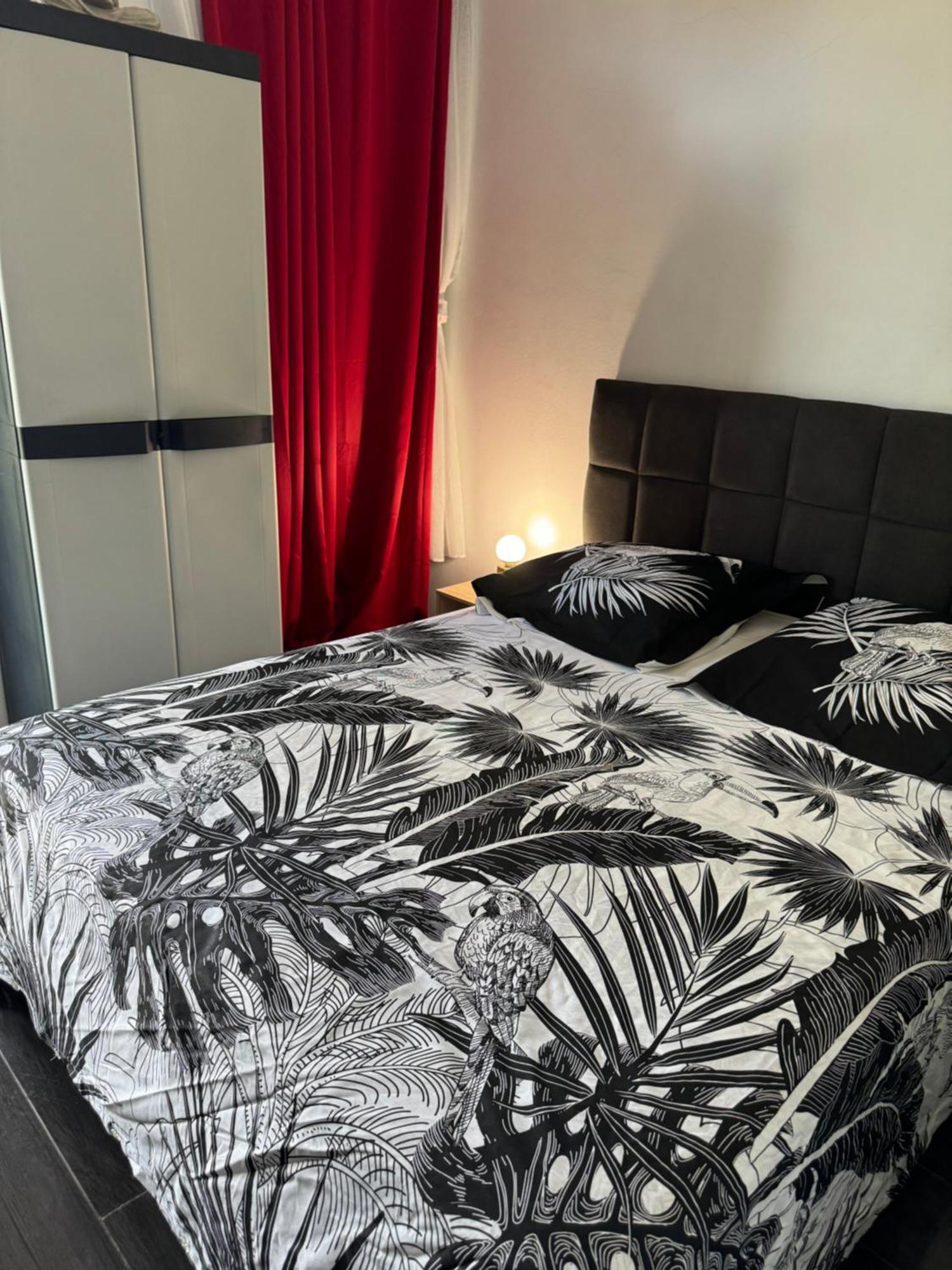 쇨세르 Skys Location Pakehina B&B 외부 사진